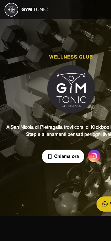 Gym Tonic Wellness Club — mobile preview